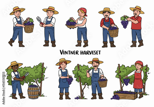 Set of cartoon illustrations depicting vintners harvesting grapes in a vineyard, showing workers with baskets, clippers, barrels, and crates, hand-drawn style.