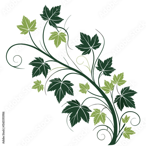 Elegant vector illustration of grapevine leaves for wine branding, organic agriculture, and decorative elements