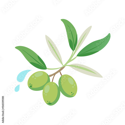 Vector illustration of green olives on a branch for culinary, health, and Mediterranean cuisine applications