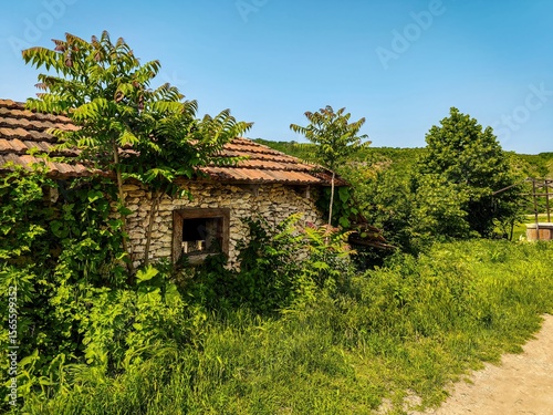 Fototapeta Naklejka Na Ścianę i Meble -  A small house with a window and a roof. The roof is red and the house is surrounded by trees