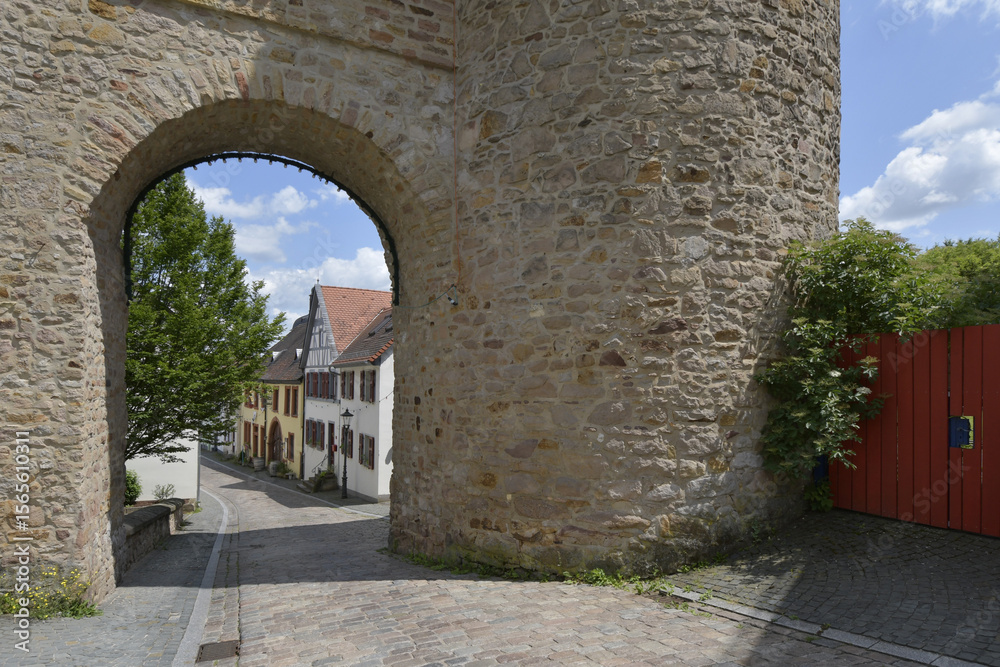 Obraz premium kirchheimbolanden, stadtbefestigung