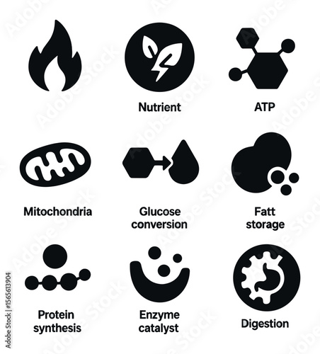 Metabolism Icon Grid. Solid, filled icons set of metabolism and digestion connection: metabolic flame,