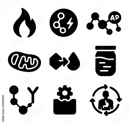 Metabolism Icon Grid. Solid, filled icons set of metabolism and digestion connection: metabolic flame,