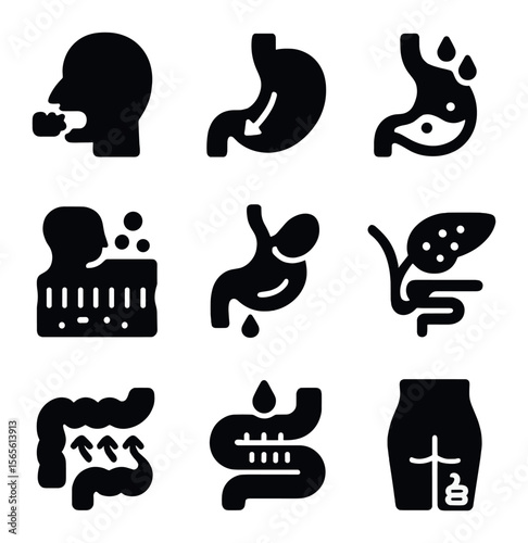 Digestive Stages Icons. Solid, filled icons set of digestion process stages: chewing food, swallowing action,