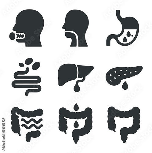 Digestive Stages Icons. Solid, filled icons set of digestion process stages: chewing food, swallowing action,