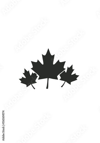 Set of Three Maple Leaf Icons in Black Silhouette Style on White Background for Autumn, Canada, and Nature Concepts