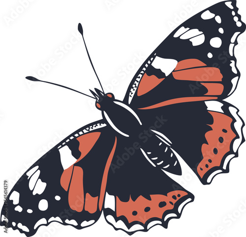 Detailed illustration of a red admiral butterfly with dark blue orange and white markings in a graphic silhouette style  .eps