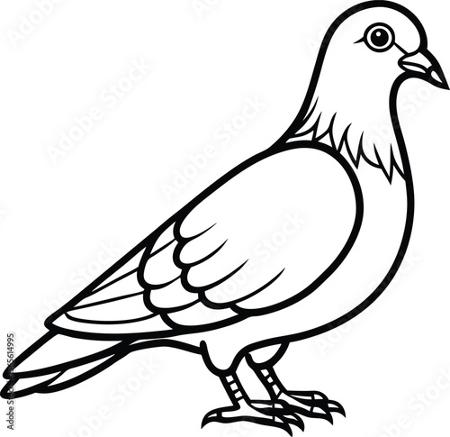 A Pigeon line art vector illustration