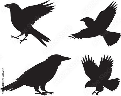 Set of Silhouettes of Different Birds in Flight – Ideal for Wildlife, Nature, and Birdwatching Illustrations, Featuring a Variety of Winged Species 