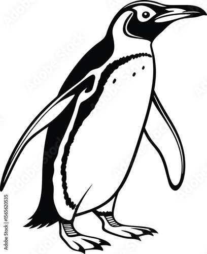 A detailed black and white illustration of a penguin standing on its feet in a classic silhouette style .eps