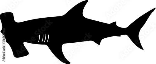 Hammerhead shark silhouette in black color on white background  