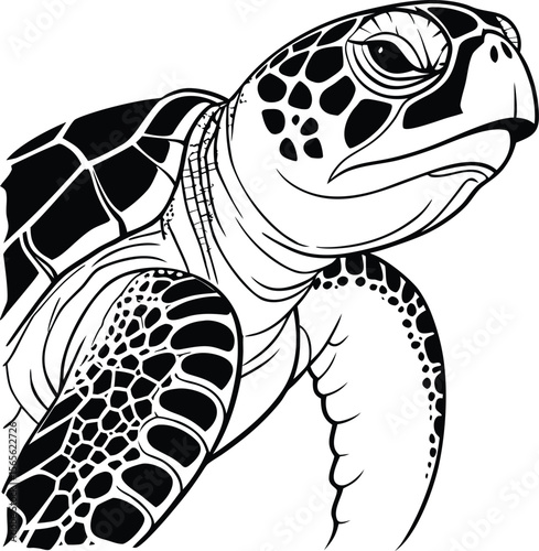 Detailed black and white illustration of a sea turtle head and flipper in a graphic silhouette style .eps