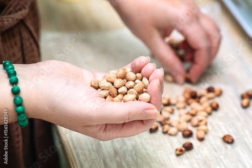 Woman's hands sorting dried cherry pits for crafting handmade toys, showcasing sustainable material preparation