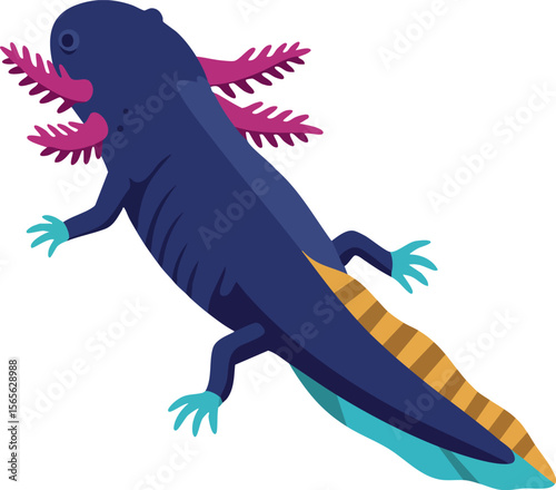 Axolotl amphibian animal vector with purple body and pink gills illustration 