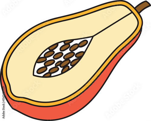Halved papaya with seeds showing inside the fruity orange flesh vector illustration