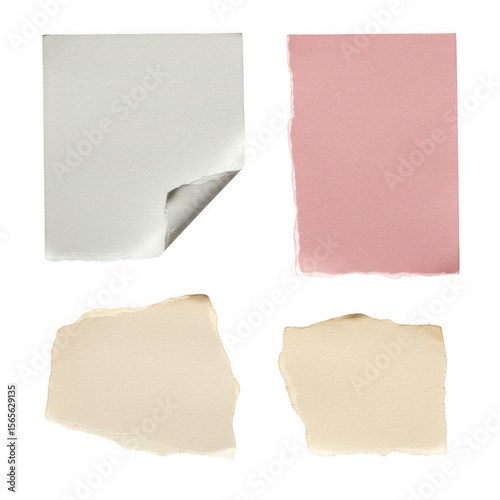 Wallpaper Mural Four torn paper pieces in various colors and textures isolated on transparent background Torontodigital.ca