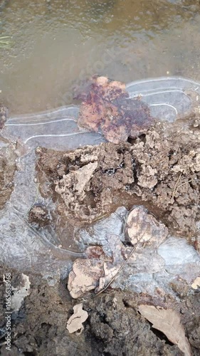 Early spring scene with ice in a rut on the road, surrounded by muddy soil and fallen leaves
