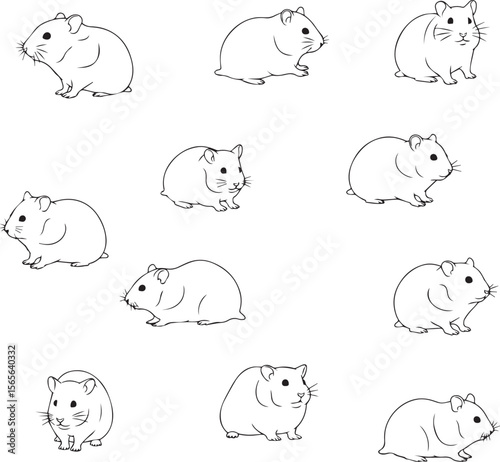 vector illustration of a hamsters
