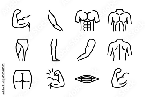 Black silhouette icons of human muscles and body parts on dark background