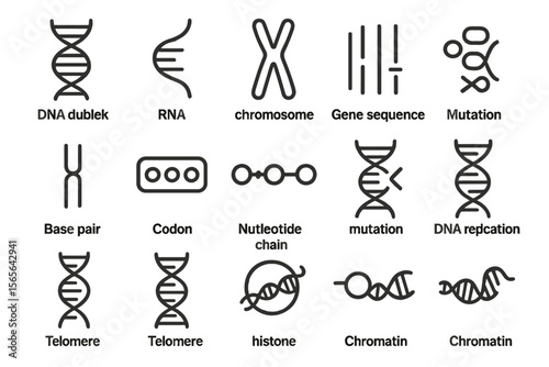 Genetic symbols: dna, rna, chromosomes, gene sequencing, mutation
