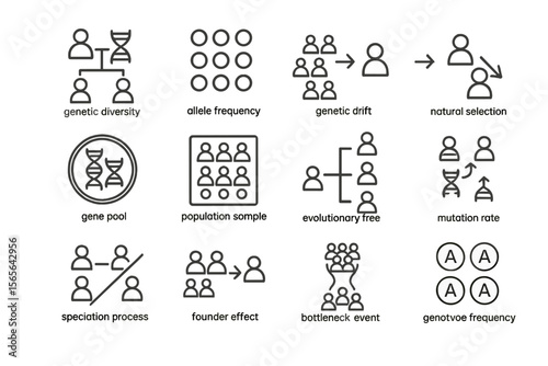 Genetic concepts: natural selection, genetic drift, mutation rate illustrated