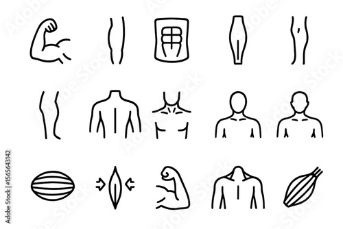 Muscle anatomy icons in simple black and white minimal style