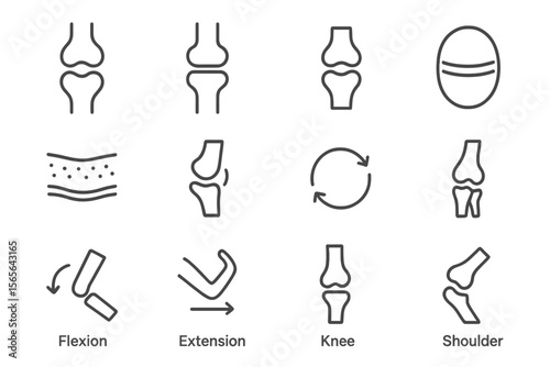 Joint movement diagrams showing flexion and extension in knee and shoulder