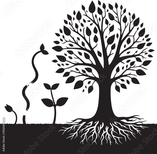 Tree Growth Silhouette – From Seedling to Mature Tree Minimal Vector