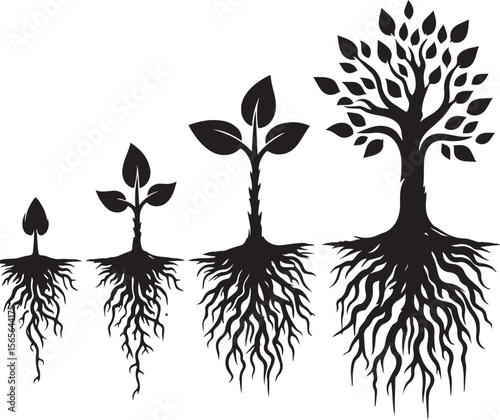 Tree Growth Silhouette – From Seedling to Mature Tree Minimal Vector