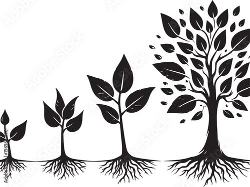 Tree Growth Silhouette – From Seedling to Mature Tree Minimal Vector