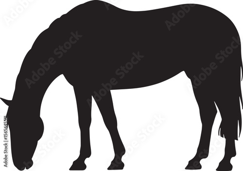 horse eating black silhouette vector, Simple silhouette Design vector icon with white background. Wild animal silhouette