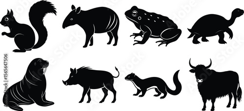Set of various animal silhouettes, isolated on transparent background