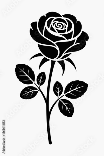 Black rose bloom with leaves white flower