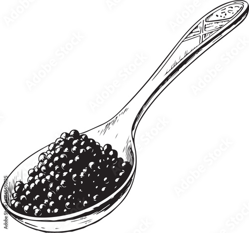 Spoon of Black or Red Caviar Vector Illustration, Sketch Drawing Line Linear Symbol Icon Engraving Coloring Book, Hand-drawn Black and White Isolated