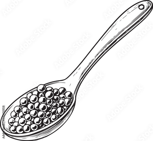 Spoon of Black or Red Caviar Vector Illustration, Sketch Drawing Line Linear Symbol Icon Engraving Coloring Book, Hand-drawn Black and White Isolated