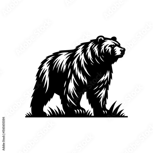 A detailed black and white illustration of a standing bear in grass.