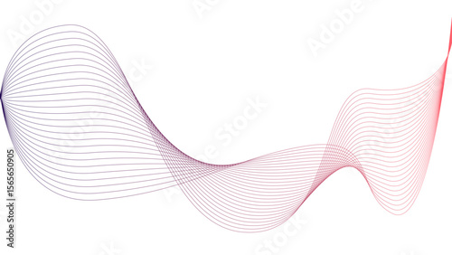 Vector curvy abstract line art wavy flowing dynamic colorful lines white background in concept music or sound, wave, wind, information flow