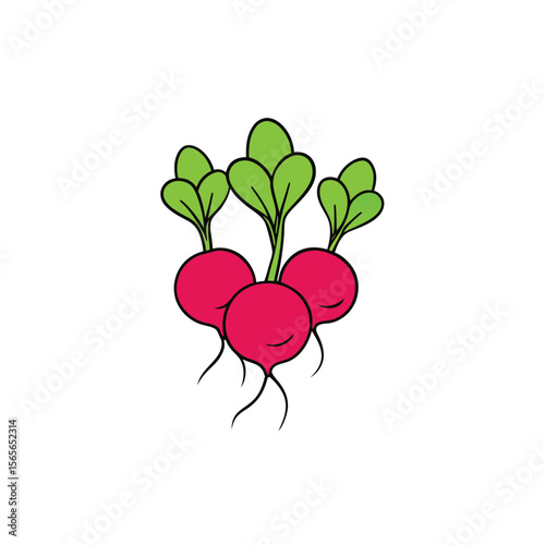 Fresh radish bunch with roots in playful flat Vector illustration