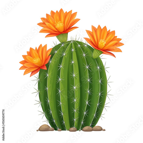 Round green cactus with three bright orange flowers and white spines on black background