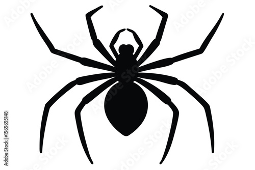 spider with long legs vector icon