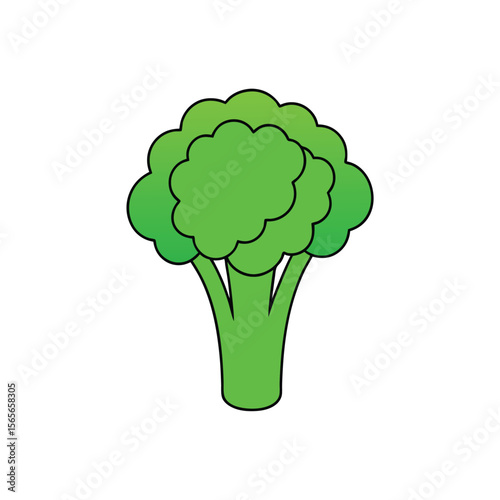 Broccoli stalk with florets fresh and textured green vegetable Vector illustration
