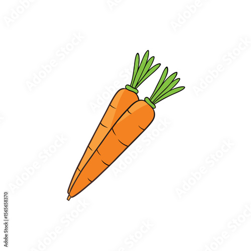Carrots tied together fresh orange veggie with string design Vector illustration