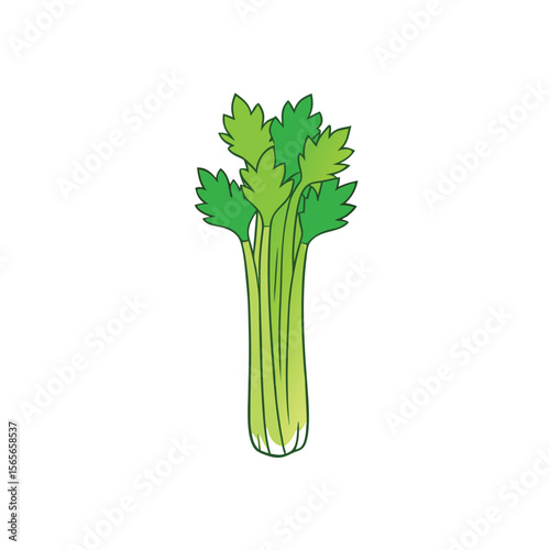 Minimalistic celery stalks with clean leaves and stem vector Vector illustration