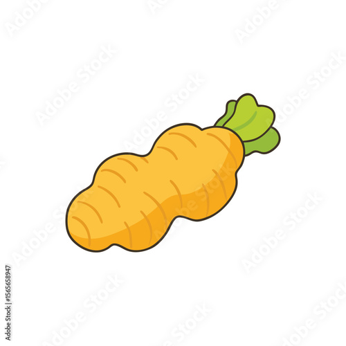 Realistic ginger root with fine texture clean flat food design Vector illustration