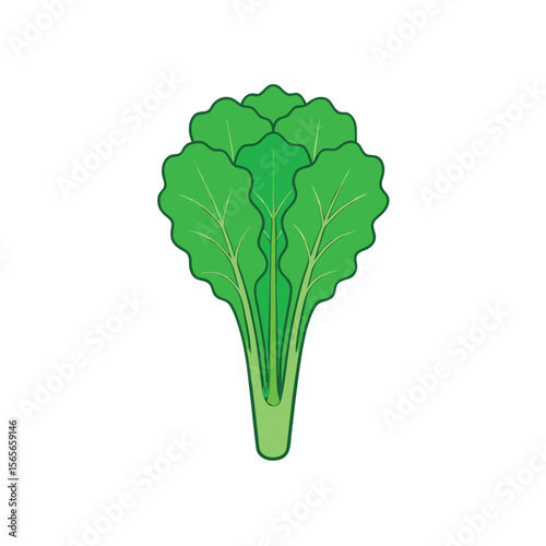 Vibrant green kale bunch fresh vegetable flat texture art Vector illustration