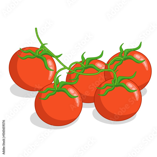 Bunch of red cherry tomatoes on white background. Vector illustration of vegetables for menu, cook book, print.