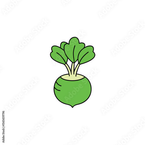Kohlrabi fresh green with leaves bold vibrant vegetable design Vector illustration