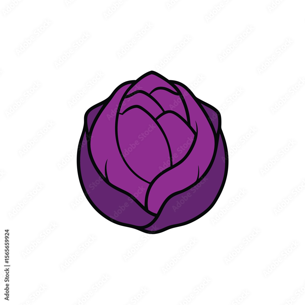 Fototapeta premium Purple cabbage with detailed veins colorful flat vegetable Vector illustration