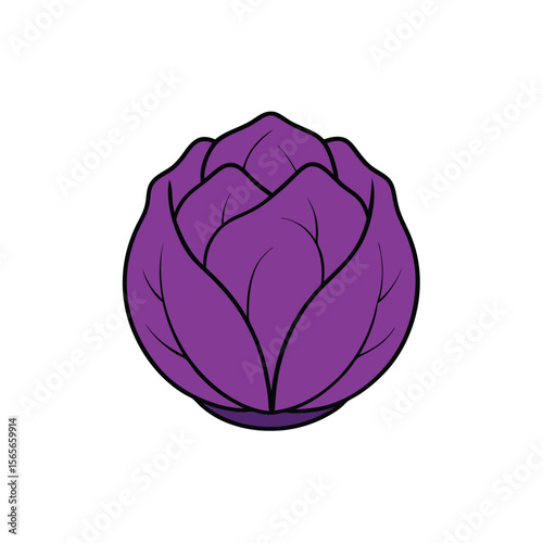 Colorful purple cabbage textured veins flat veggie design Vector illustration
