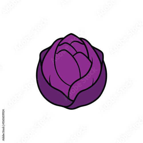 Purple cabbage with detailed veins colorful flat vegetable Vector illustration
